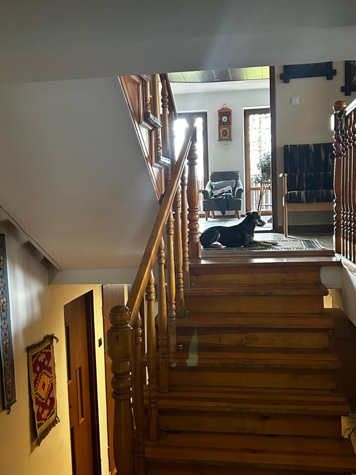 Willa Karolinka Stroza - Pet Friendly Myślenice Extérieur photo